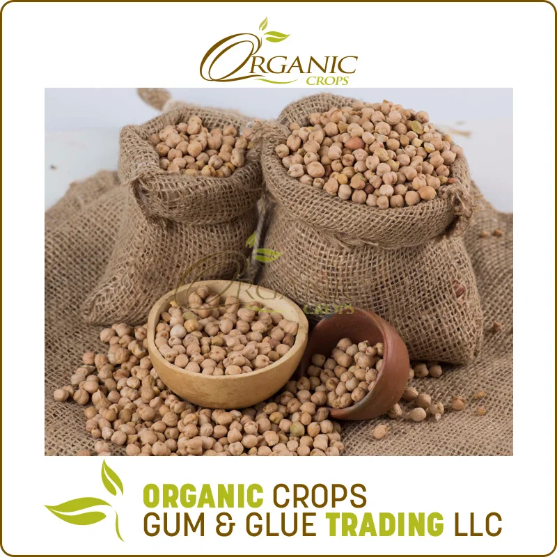 
Quality Chickpea/Chick Pea Market Price 