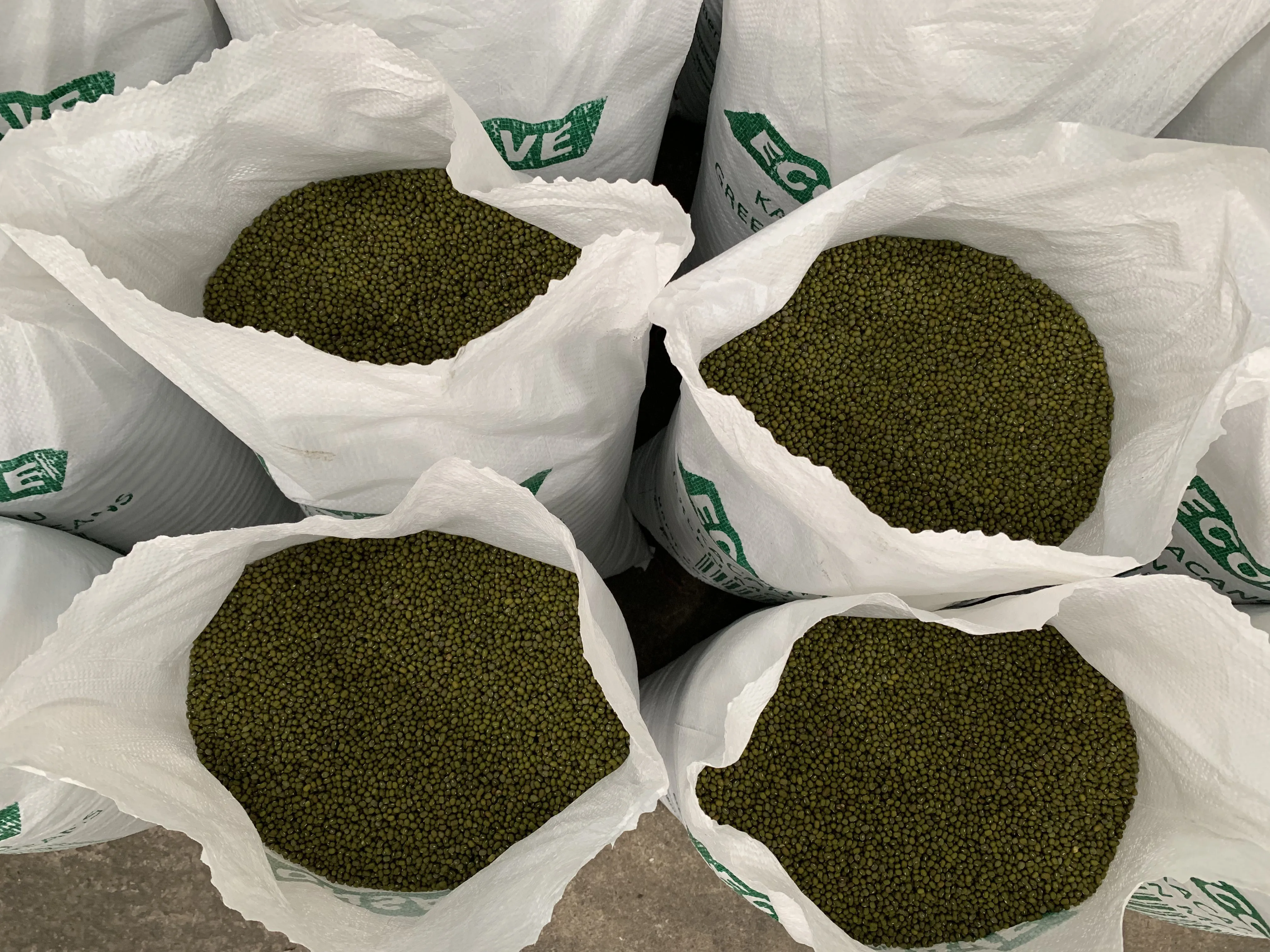 Лидер продаж, зеленые бобы мунг 3,25 мм, Произведено в Мьянме