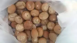 100% натуральные зеленые свежие орехи betel/орехи Areca из Вьетнама-самая конкурентоспособная цена-МС: Праздник whatsapp: + 84-845-639-654