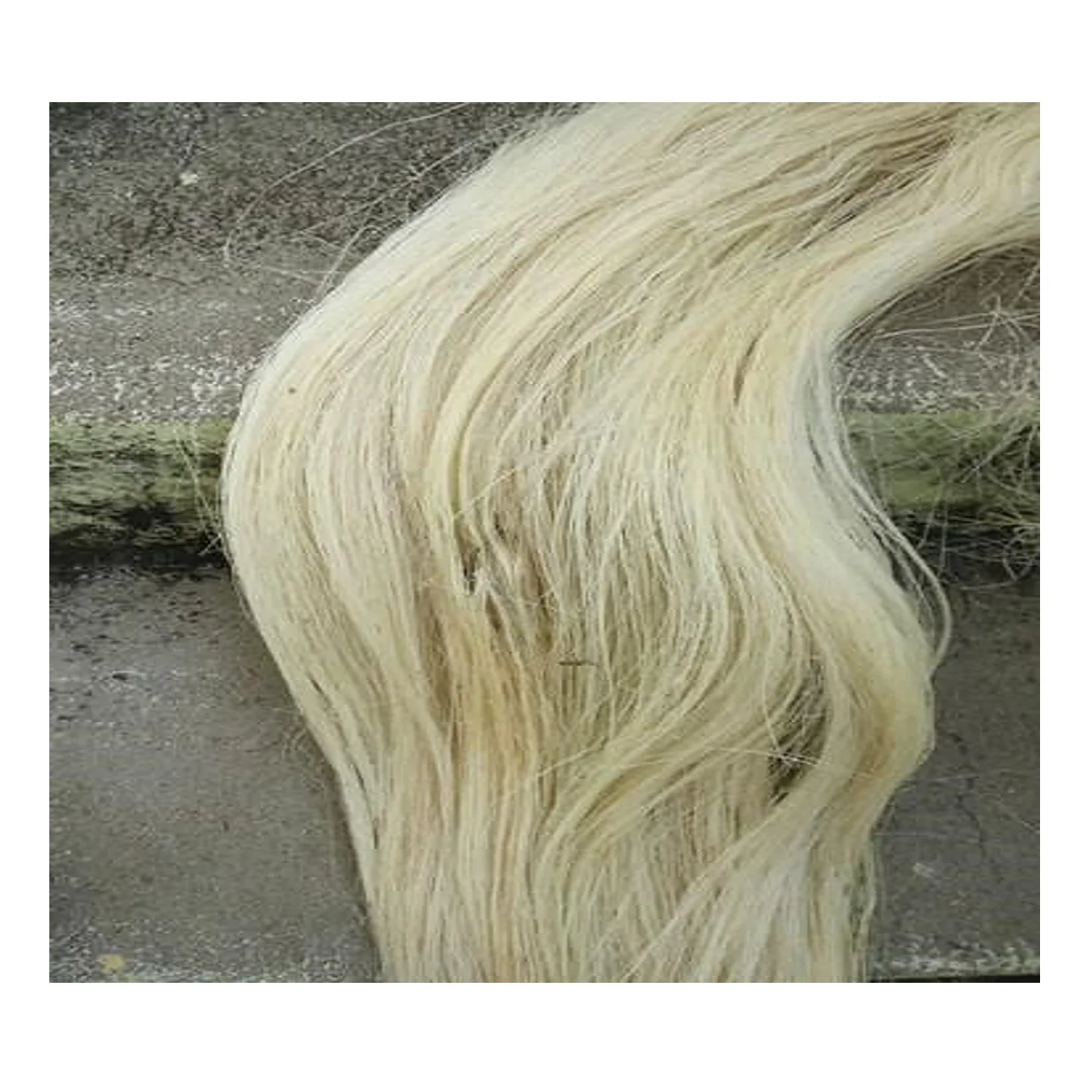 
Sisal Fiber , Jute Fiber and Kenaf fiber for sale 