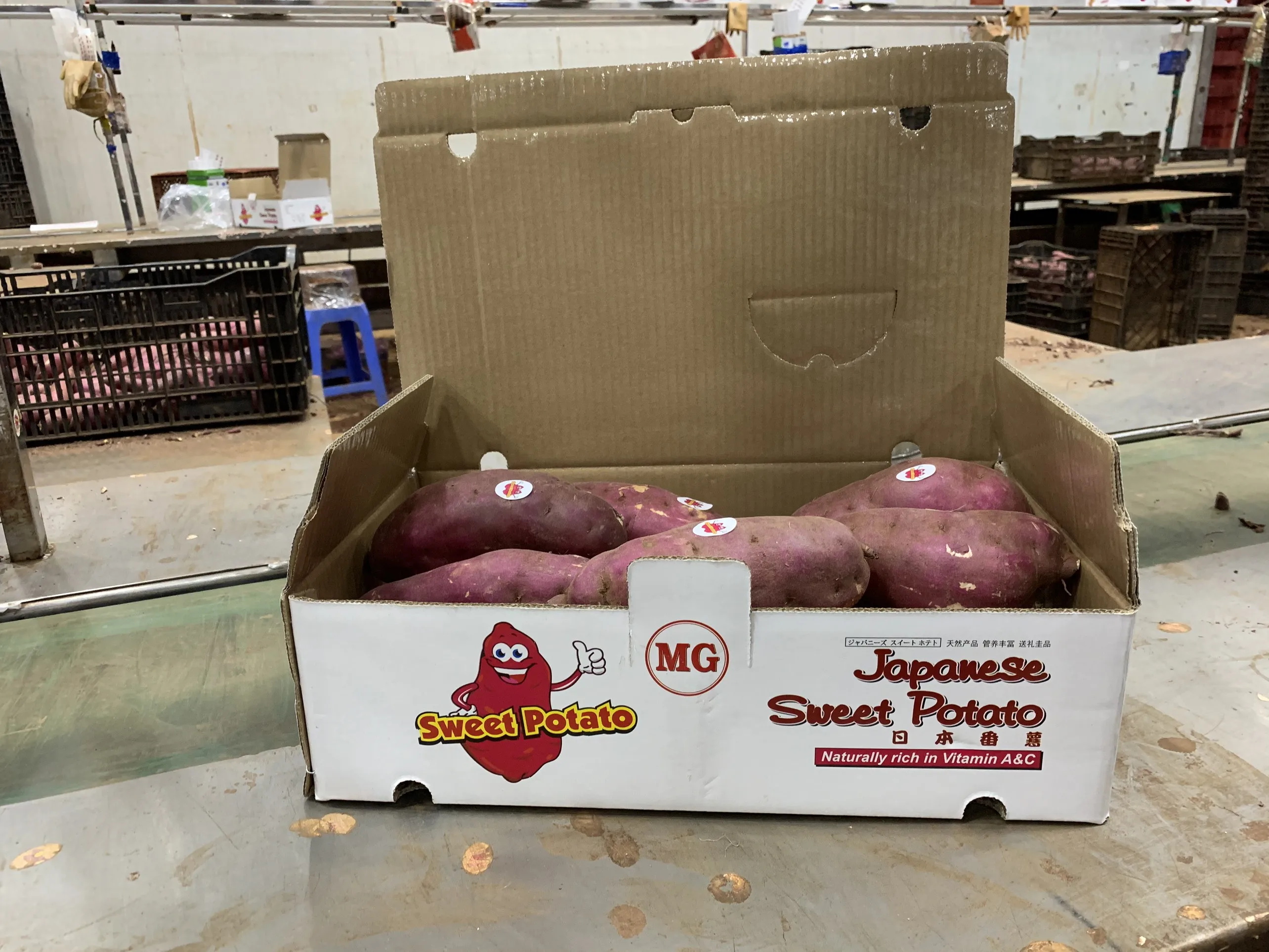 Органическое культивирование органической пищи сделано во Вьетнаме высокое качество горячий 2022 японский сладкий картофель