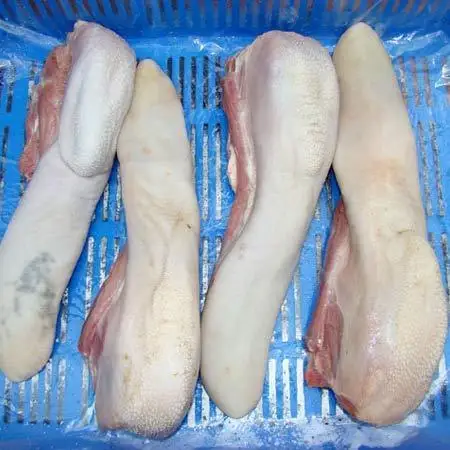 BEEF TONGUE  HALAL FROZEN BEEF TONGUE  FRESH PROCESSING FROZEN BEEF TONGUE  PACKING 20 KG CARTONS