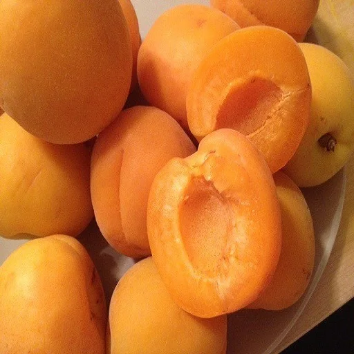 
fresh egyptian apricots 