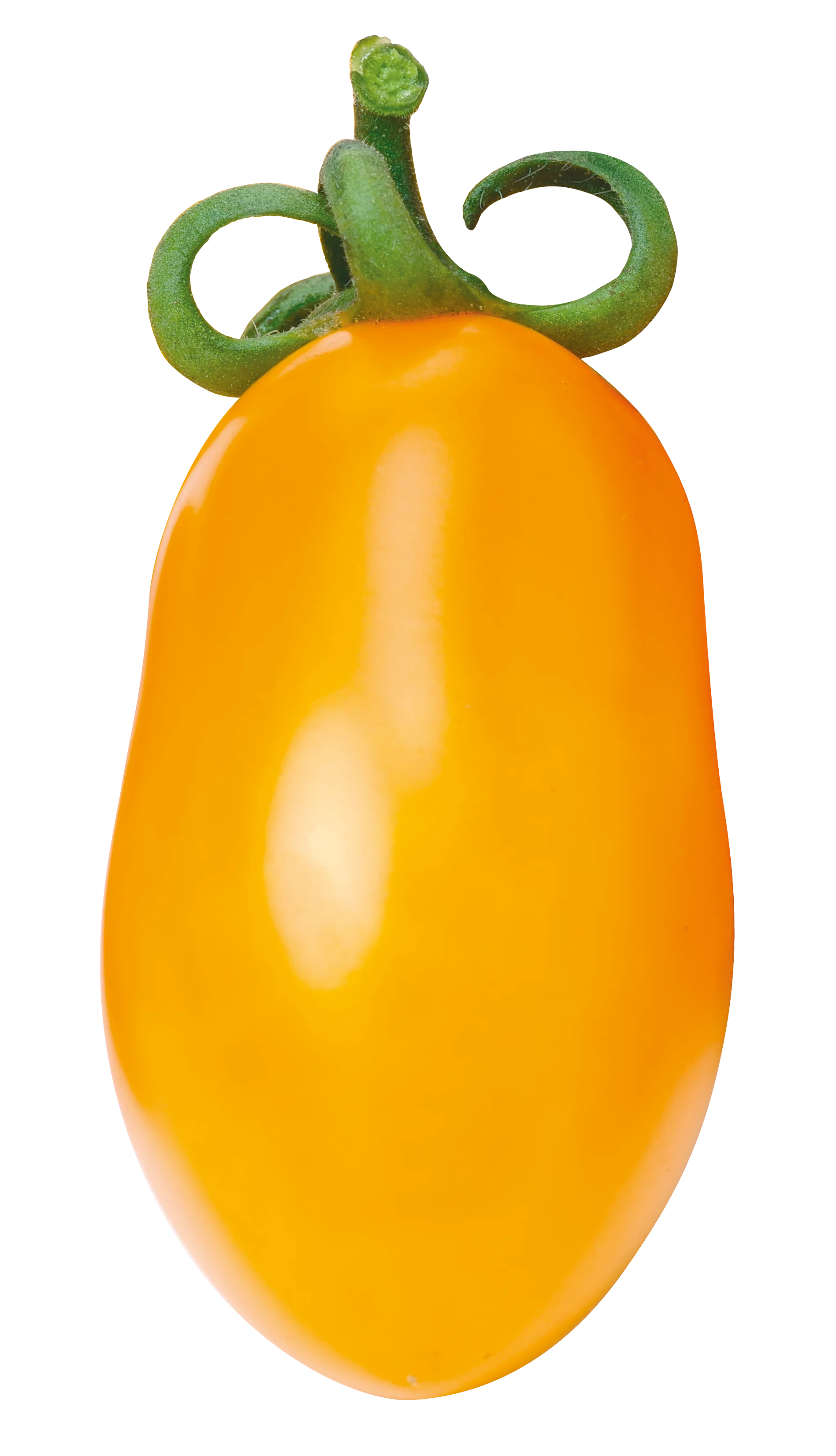 Top Quality 100% Italian Premium Quality Ready delicate taste Yellow Cherry Tomatoes 400g can for seasoning