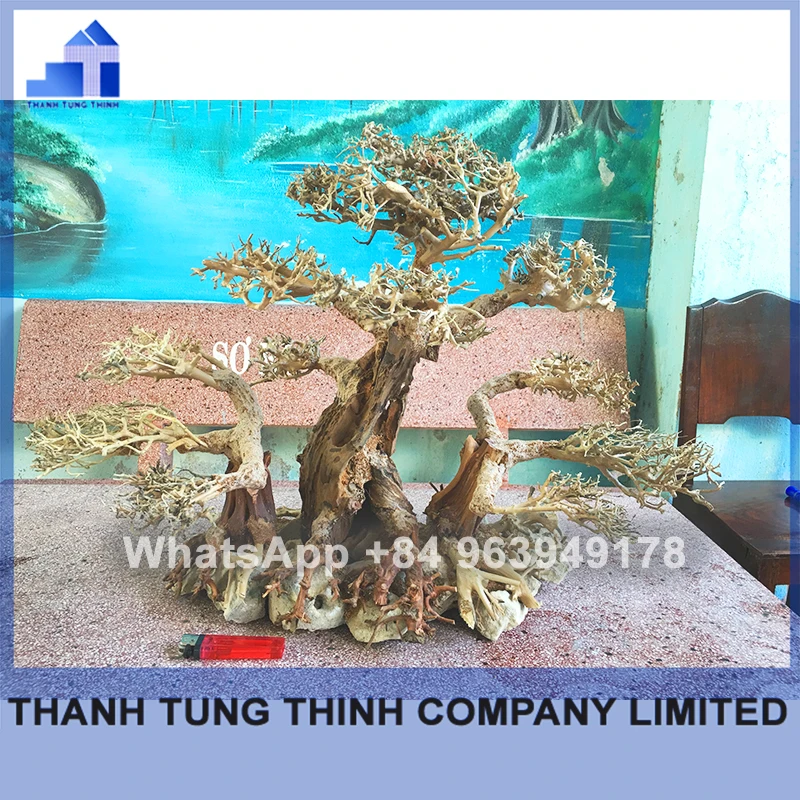 2024 Hot Design Wholesale Natural Bonsai driftwood for fish tank aquarium WhatsApp: +84 961005832