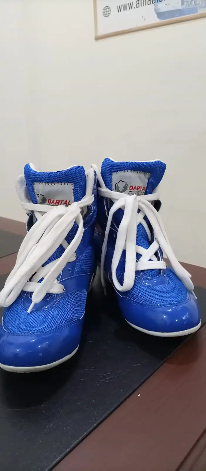 Good Quality High Premium Custom logo And Design PU Leather Lightweight Mesh Rubber And Grip Men Wrestling shoes