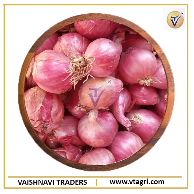 Свежий красный лук-шалот 25 мм + | шалот