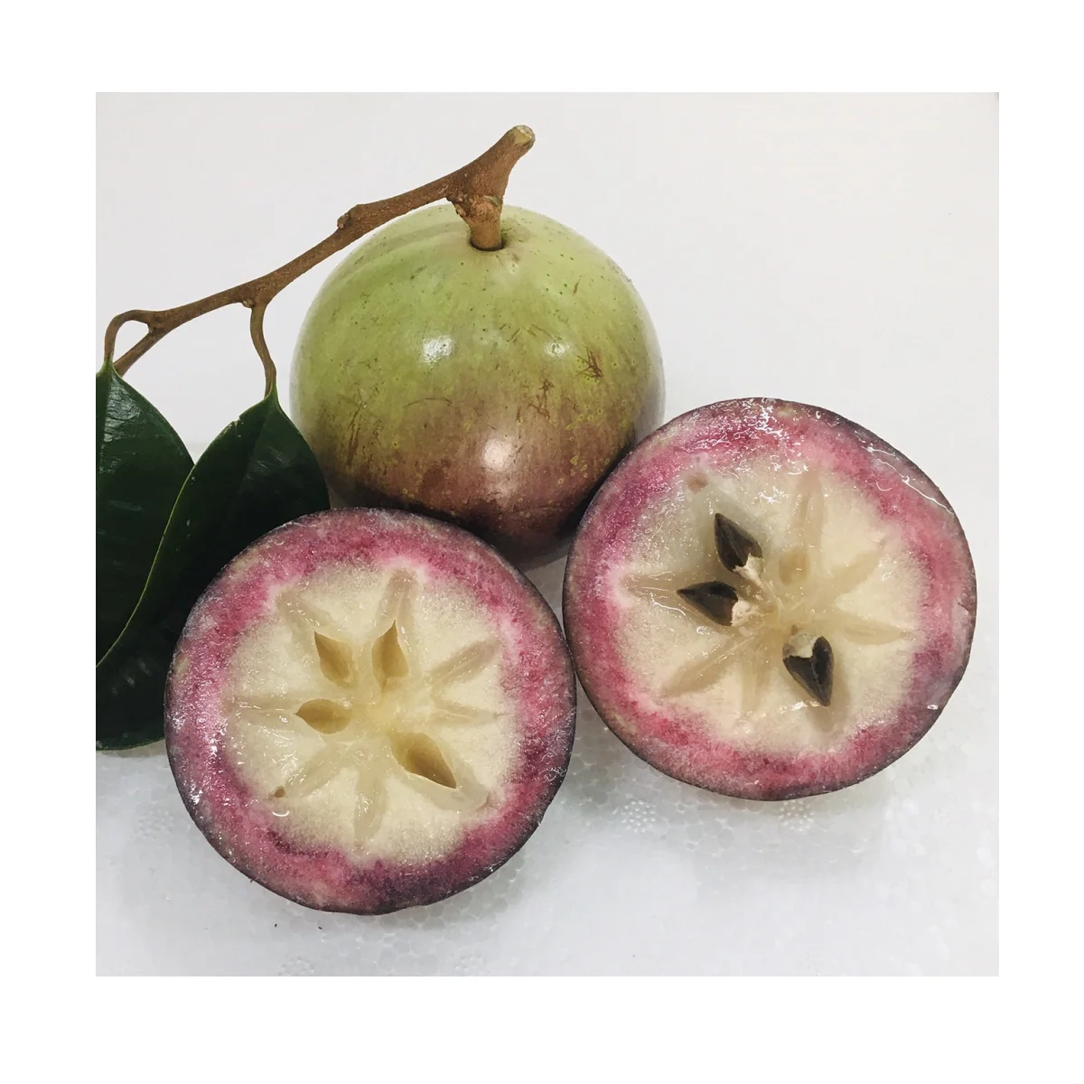 Good Purple Star Apple With 10 Days Shelf Life Packing In Cartons From West Of Vietnam