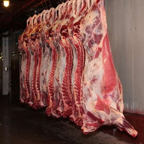 cow meat supplier1.jpg