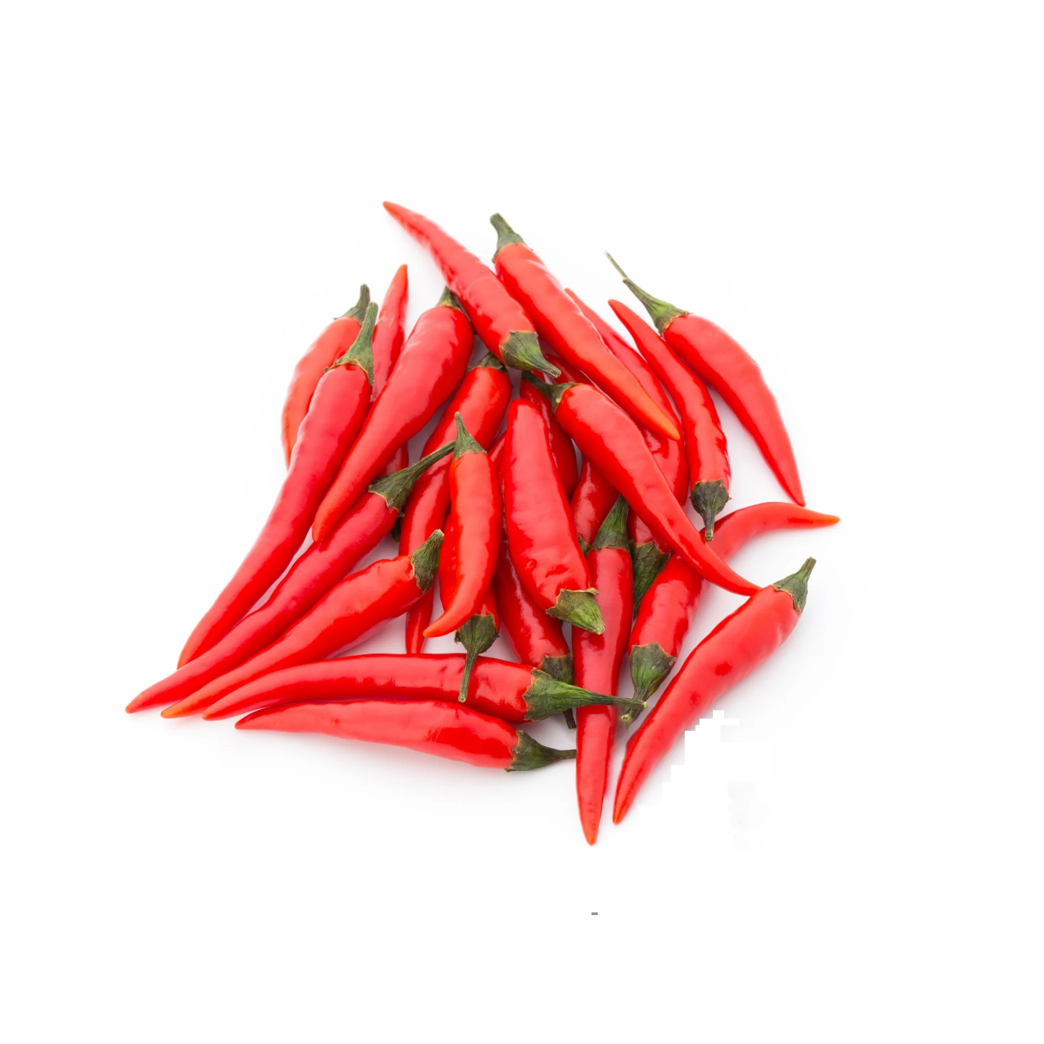 Best Quality Fresh Chili Hot Spicy Red Fresh Chili Pepper Cheap Price Vietnam Agri