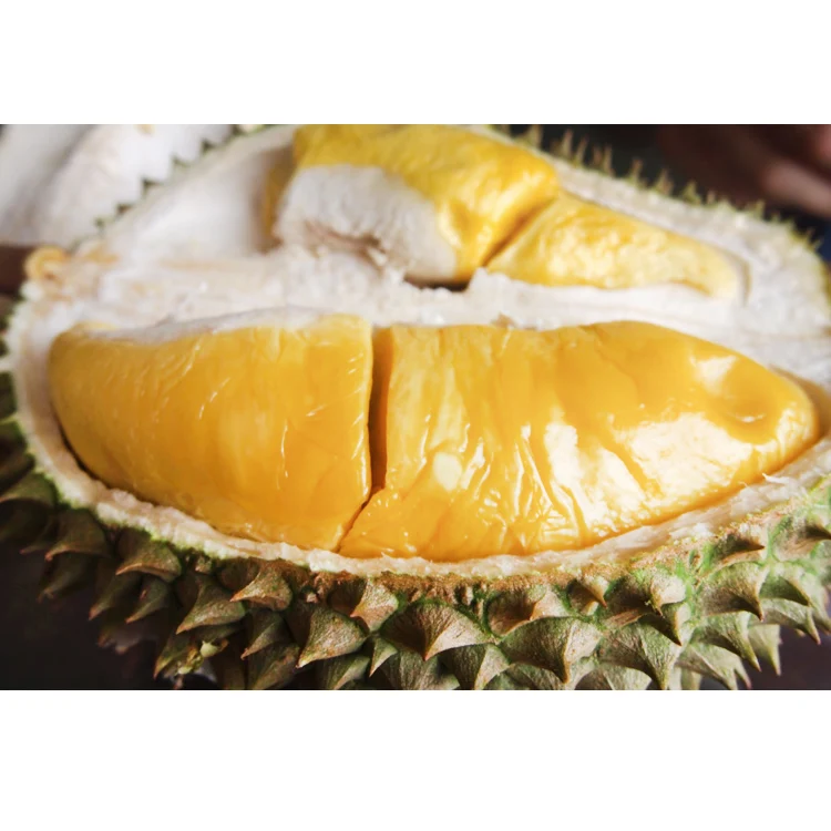 Factory Direct Sale Whole Frozen Musang King Durian Thick and Creamy Flesh from Malaysia Rich Nutrients Premium Packing