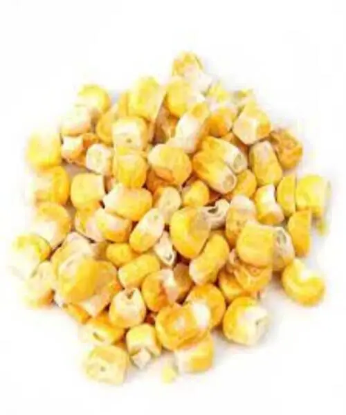 Yellow Corn for Animal Feed