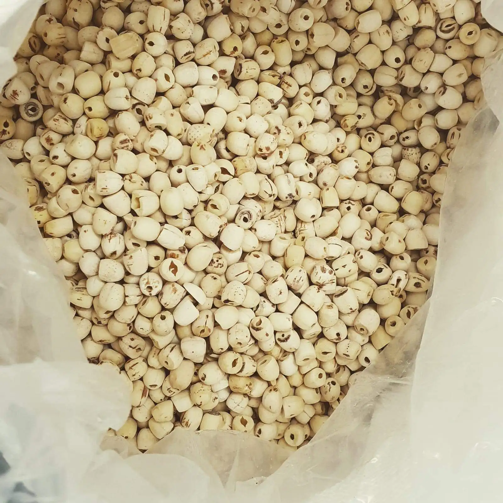 WHITE LOTUS SEED good quality from Vietnam for sale , contact +84984418844 whatsapp