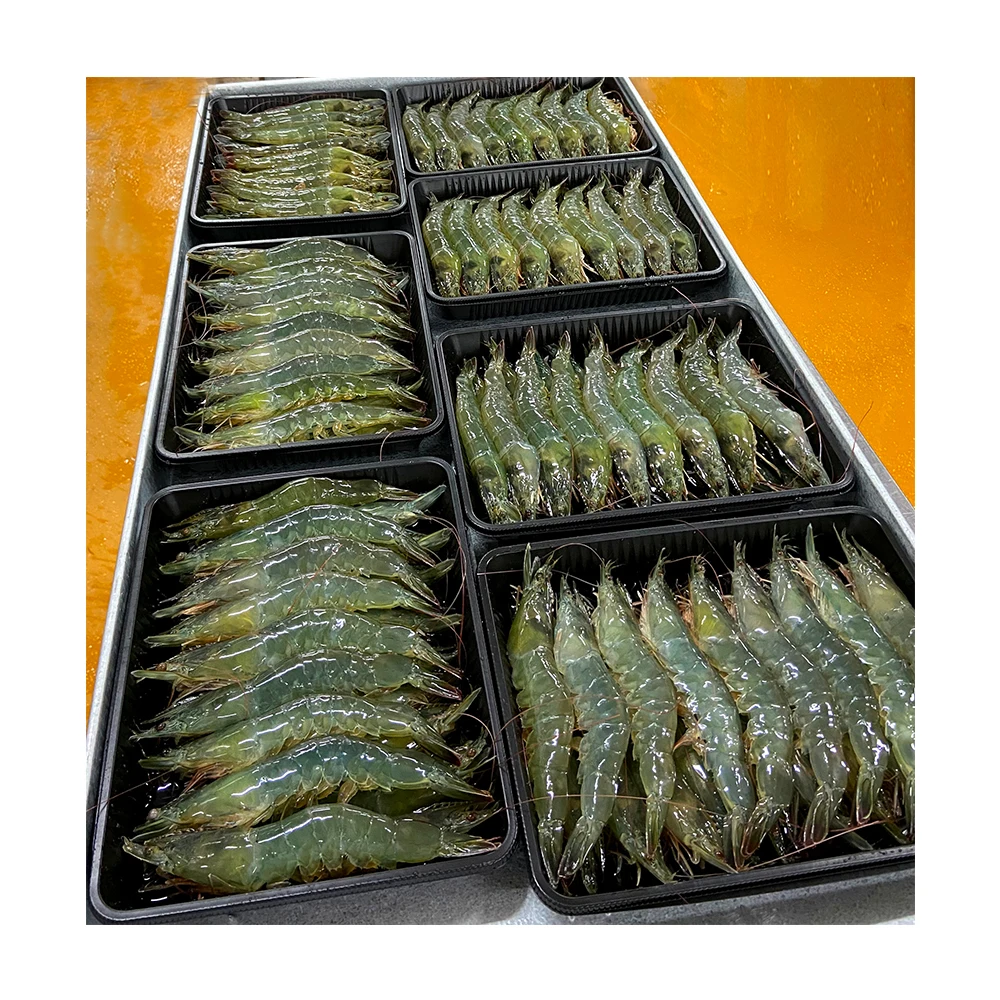 
500gm Seasonal Large Emerald Prawns Have Sodium Free And Chemical Free Shipping From Malaysia 