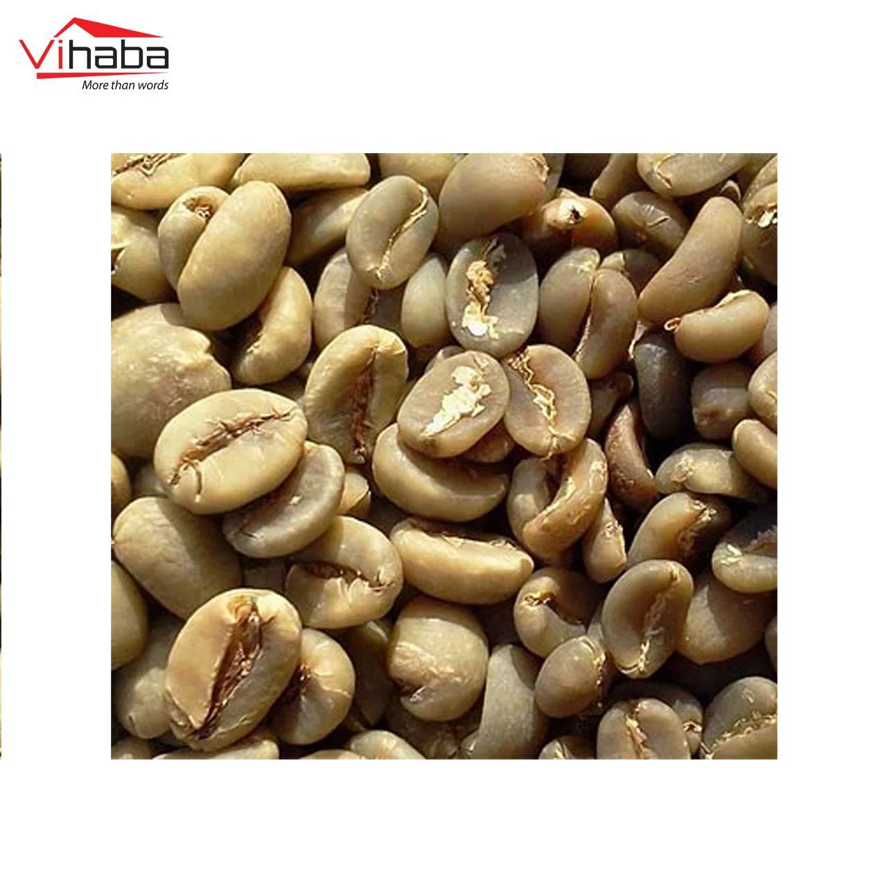 Hot selling coffee beans green green speciality coffee beans energy drink coffee scrub