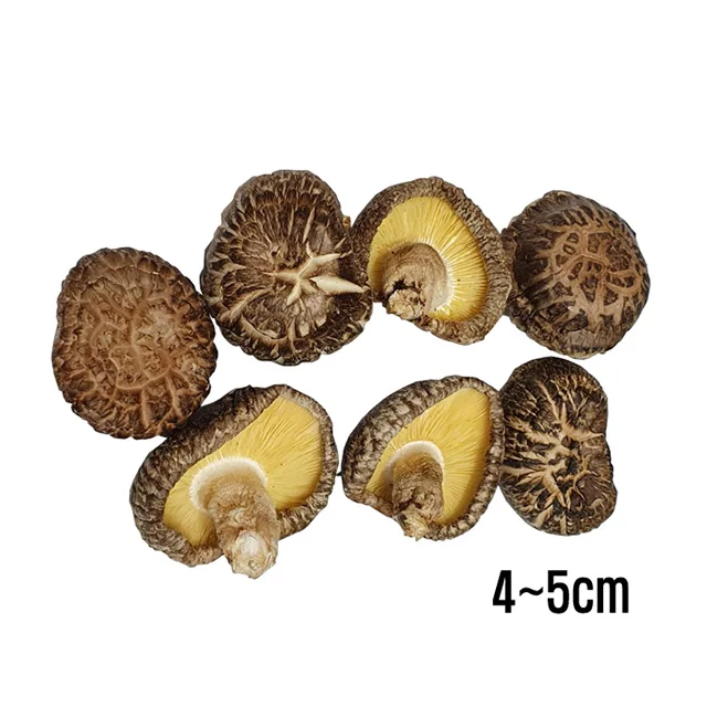  Оптовая продажа высушенный гриб экстракт черный цветок Dongko