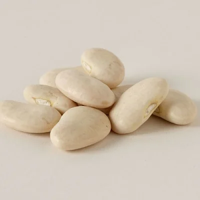 
High Quality Butter Beans 