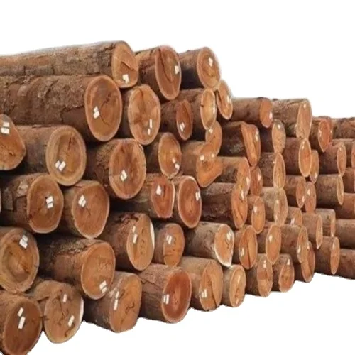 Birch logs for sale