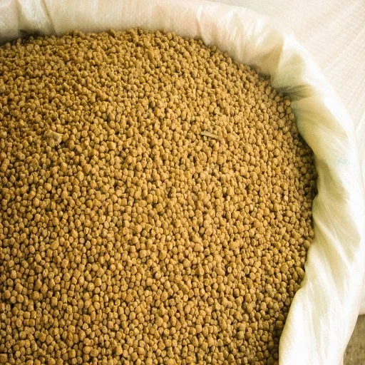 Top quality wheat bran for animal feed