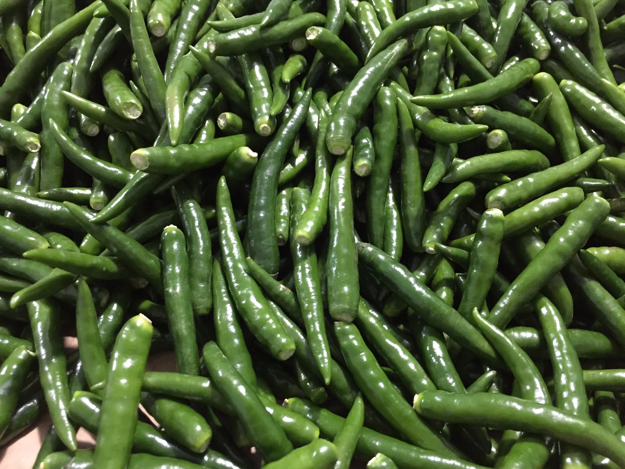TOP cheap price FROM VIETNAM: BEAUTIFUL FROZEN GREEN CHILLI: HOT AND NATURAL SPICY, BEST FOR SPICY FOOD