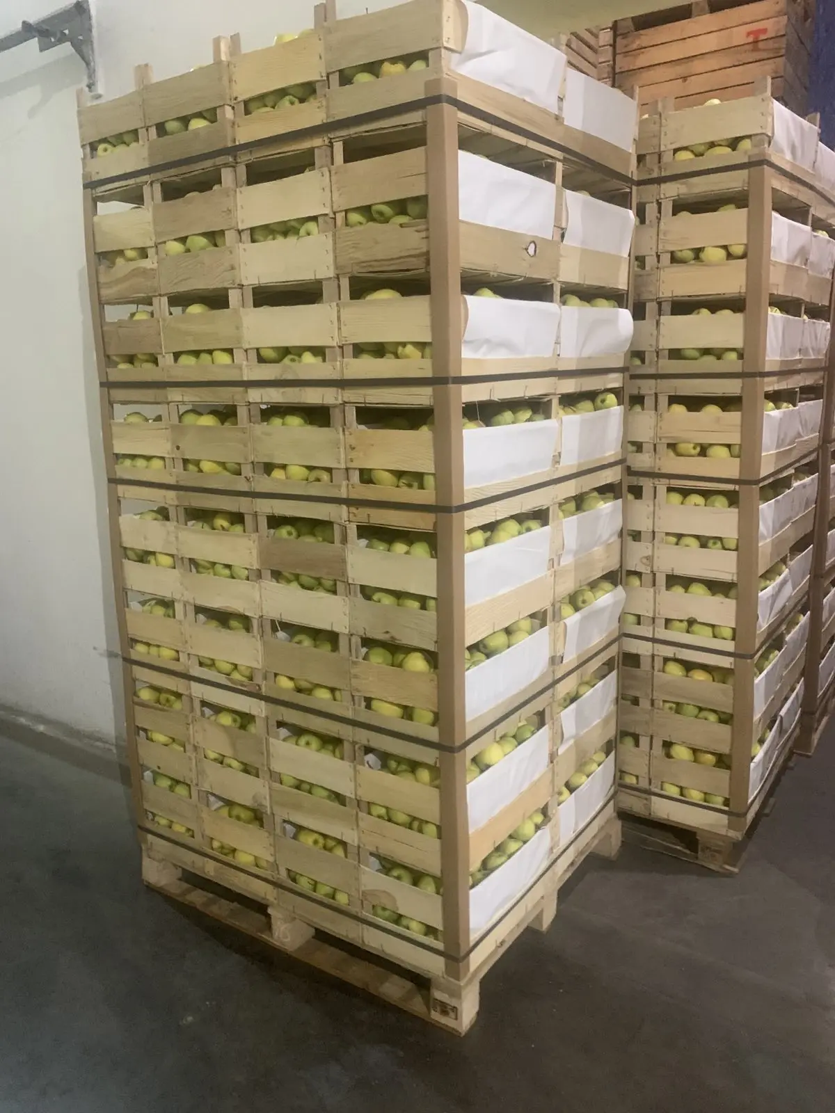 Ukrainian Golden Delicious fresh fruit royal gala apple