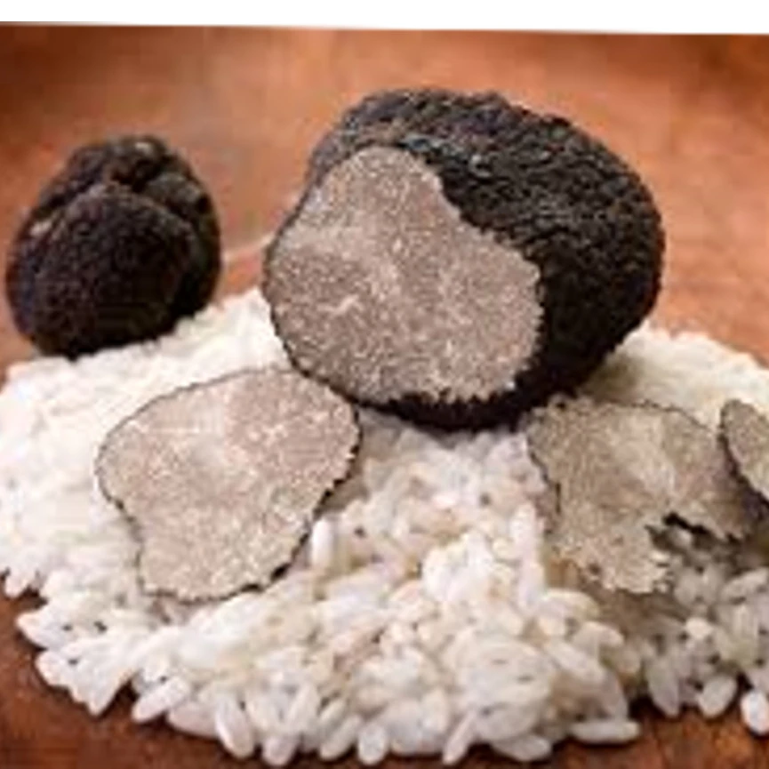 food service TRUFLLE rice RISOTTO in bag made in Italy salty private label BULK or BOX HACCP IFS ISO