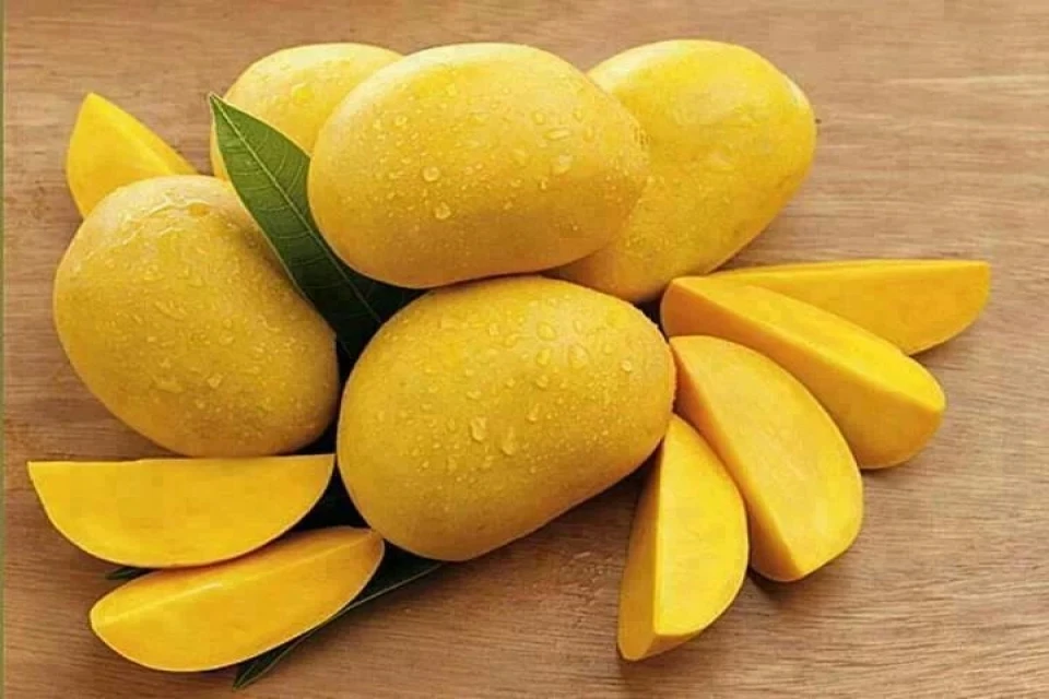 
Best seller Fresh Mango Premium grade from Thailand By SP Organic International 
