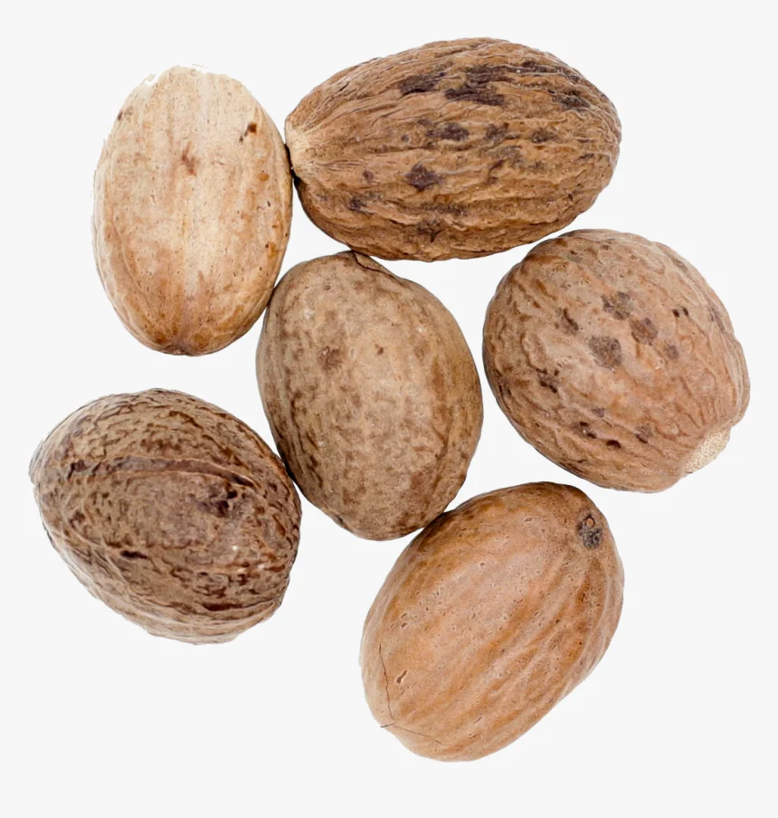 Nutmeg Seed Original From Indonesia Sellers