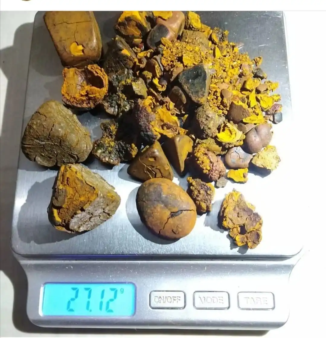 High Dried Quality Cow Ox Gallstones / Cattle gallstones  for Sale,