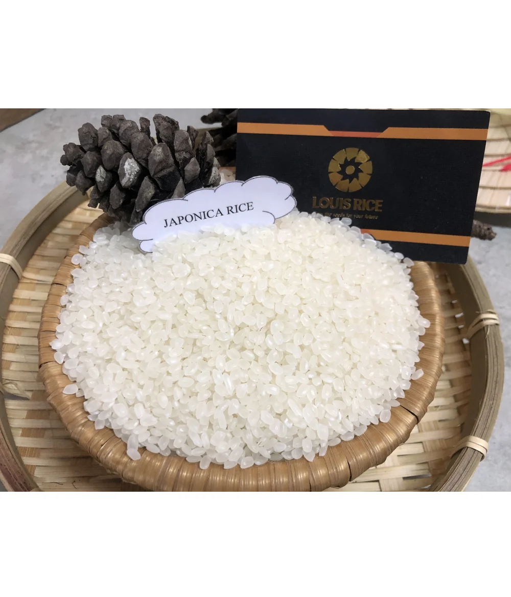 
Good price Japonica rice 5% broken high quality made in Vietnam 