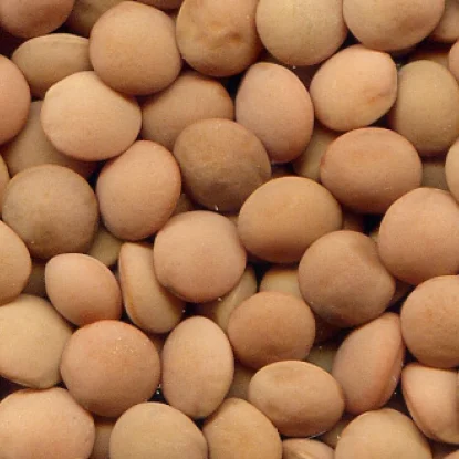 
Northfield - Australian small red lentils 