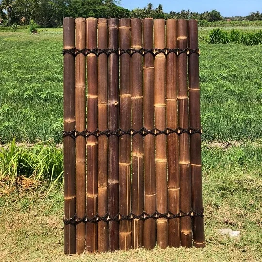 Bamboo Fence