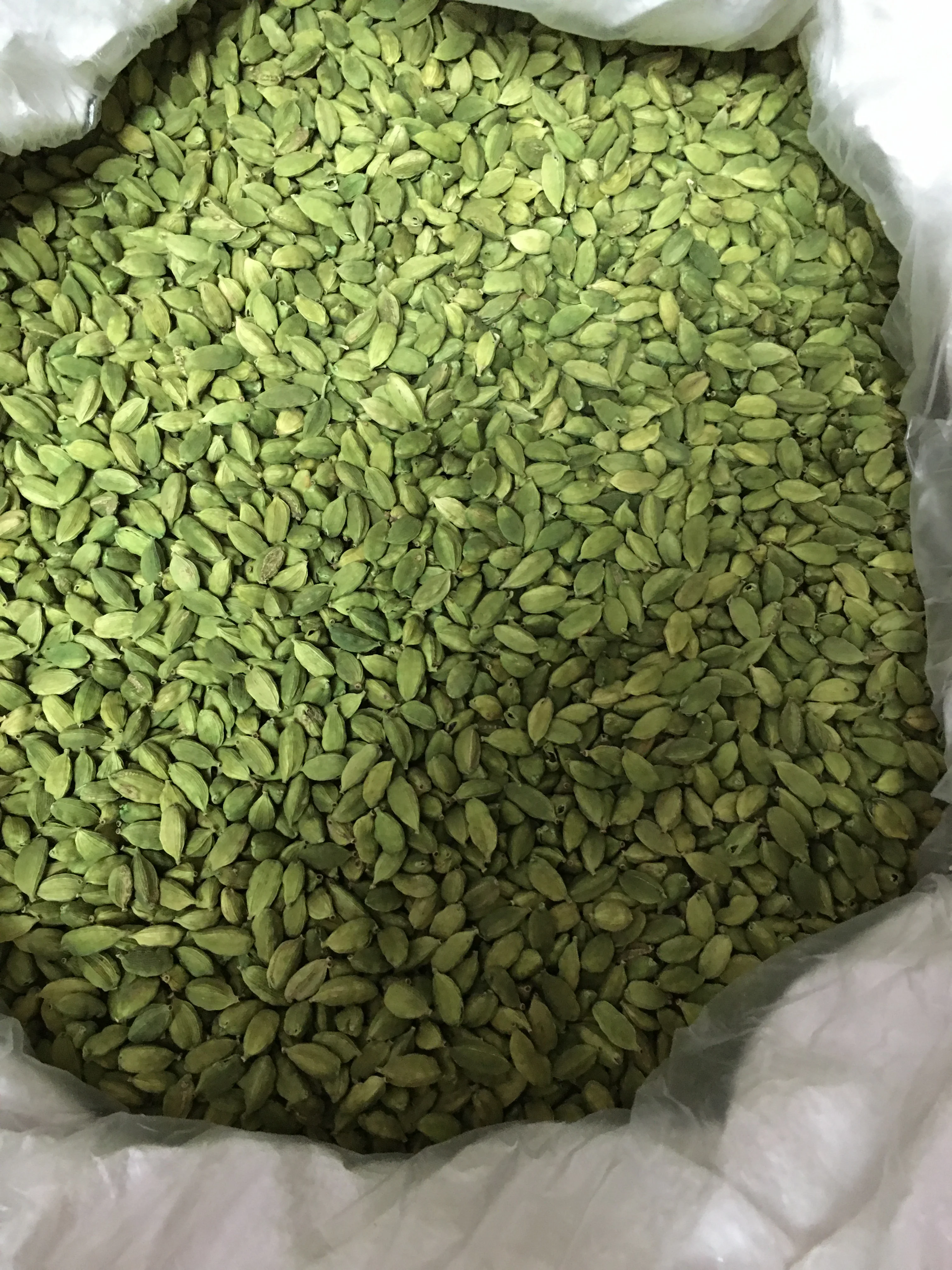 Green Cardamom 100% Indian Origin Premium Quality 7 MM Size for Germany Spices Seasonings on demand standard quality