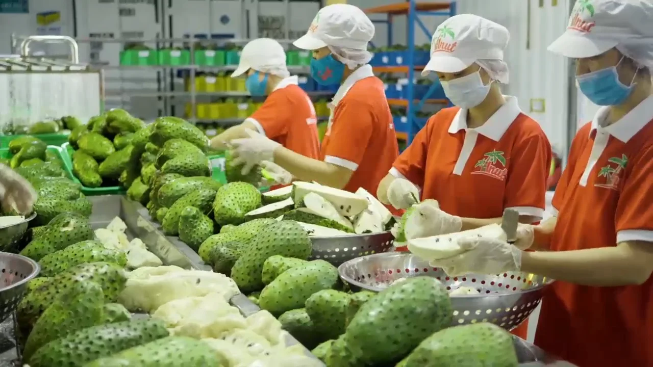 Минеральный Улучшенный напиток VINUT с извесом фруктами и имбирем со сверкающей водой 330 мл