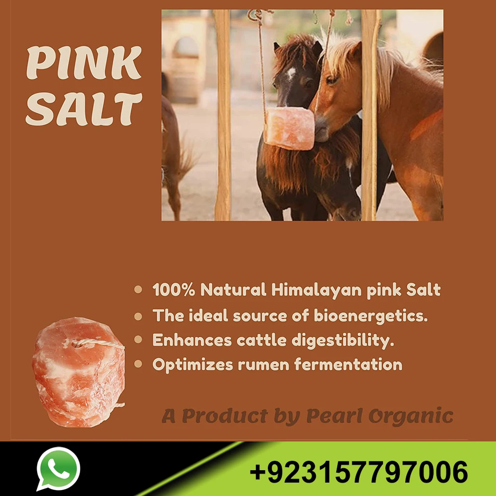  Гималайская соляная Лиза/натуральный минерал на веревке для лошадей оленей коз лося кроликов скота и всех животных