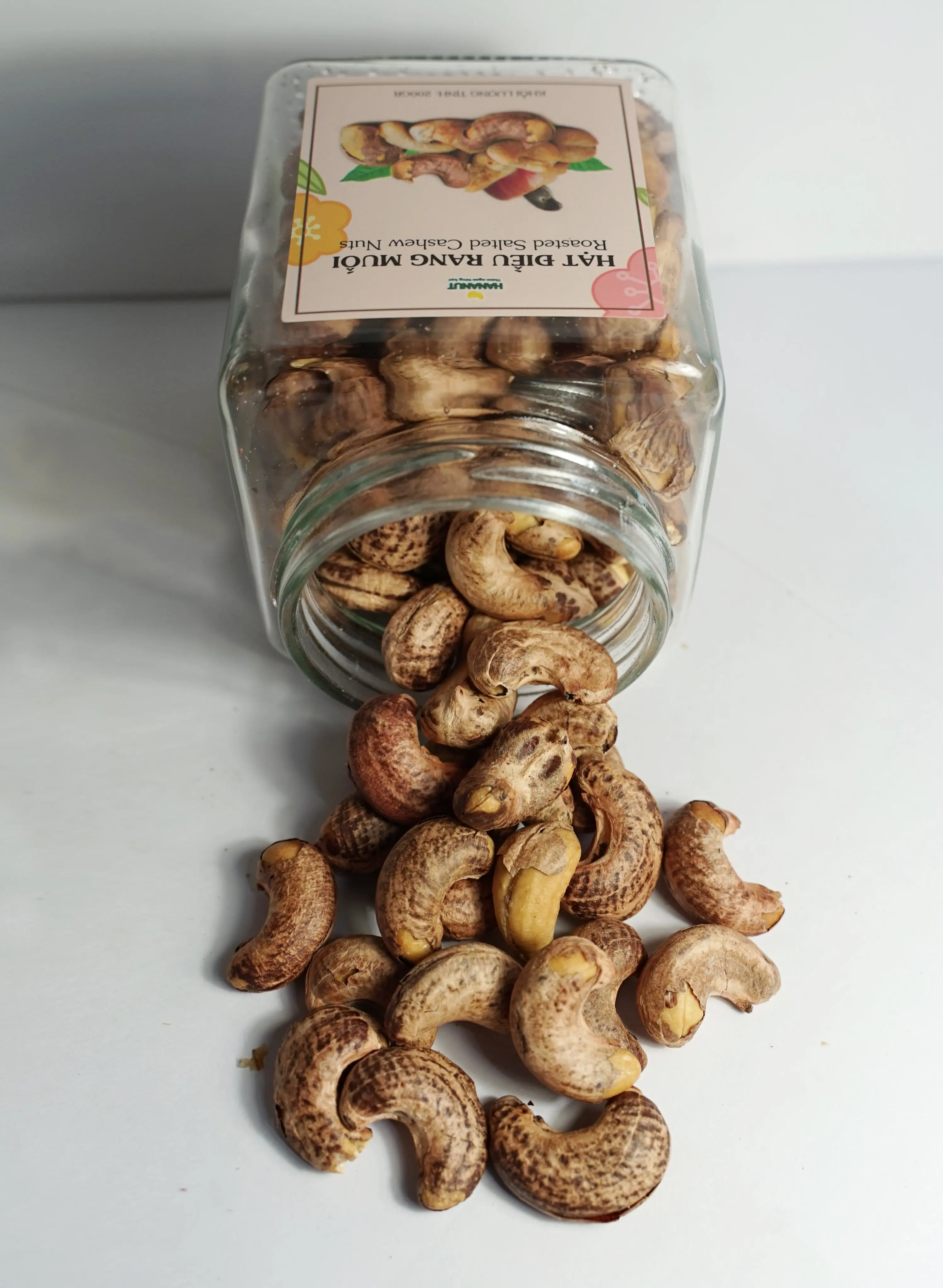 Vietnam Cashew Nuts at Factory Price Newest Crop for export