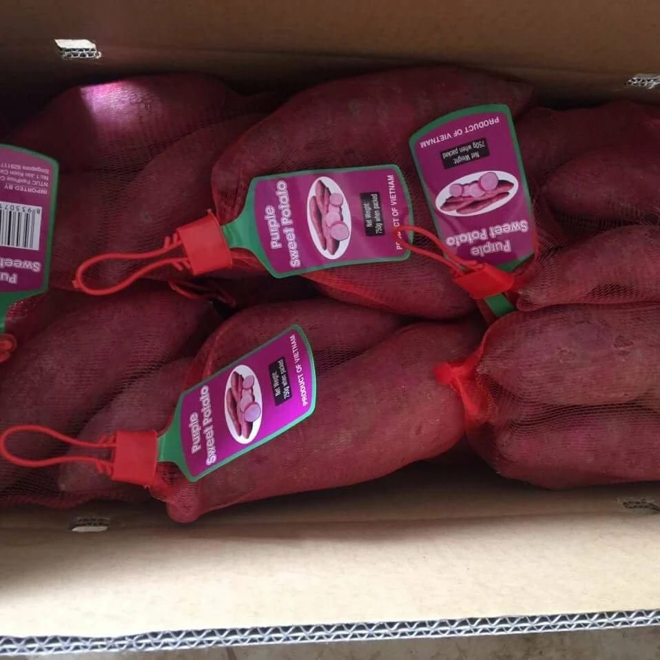 Японский сладкий картофель из Вьетнама для экспорта с высоким качеством-Лучшая цена-японский пурпурный готов к экспорту