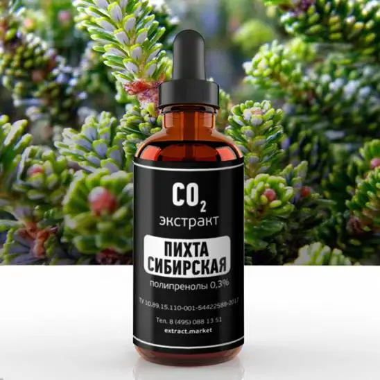 CO2 extract of Siberian fir (polyprenols 0.3%) (Latin Abies sibirica) 100ml technology wholesale price