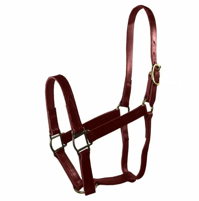 Customized Adjustable Premium Quality DD Leather horse halter with thick soft padding Anatomic Design or as per requirements