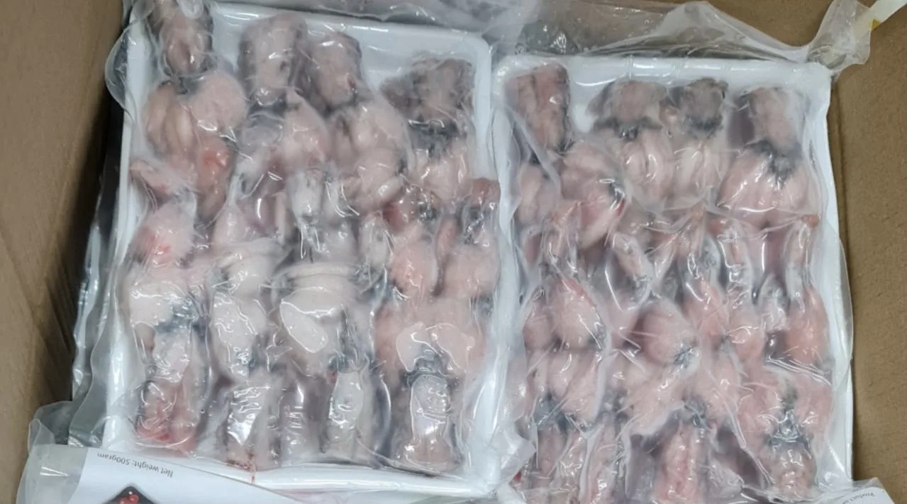 
FROZEN FROG LEGS / FARM RAISED ORGANIC FROG LEGS WITH YOGA POSTURE STYLE NO CHEMIAL 