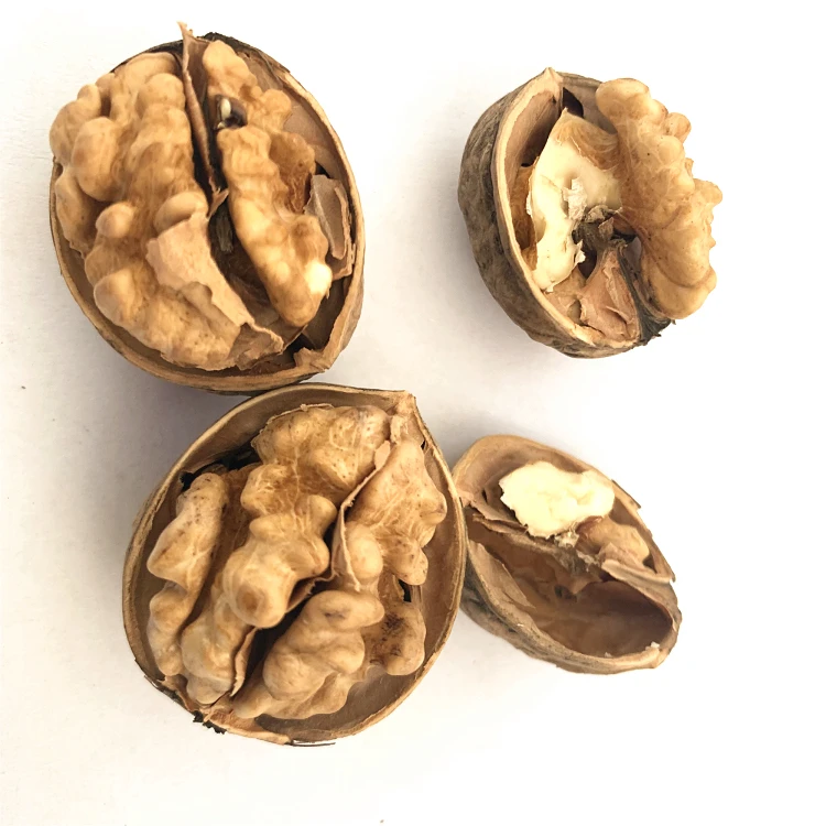 
WHOLESALE DRIED WALNUTS AVAILABLE BEST PRICE 