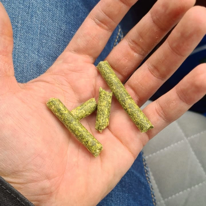 Alfalfa granules high protein 17-21%