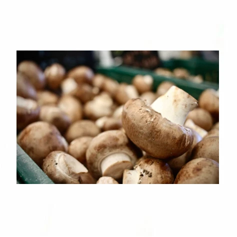 Сушеные грибы Cremini, свежие грибы для продажи
