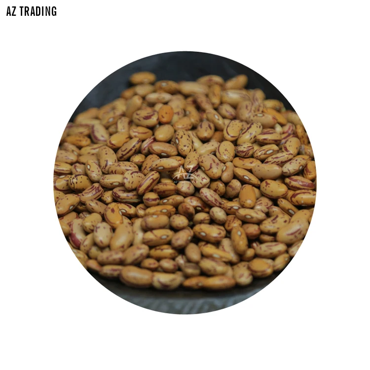 Свежая свежая качественная чистая сушеная фасоль в эфиопском стиле от поставщика New Harvest