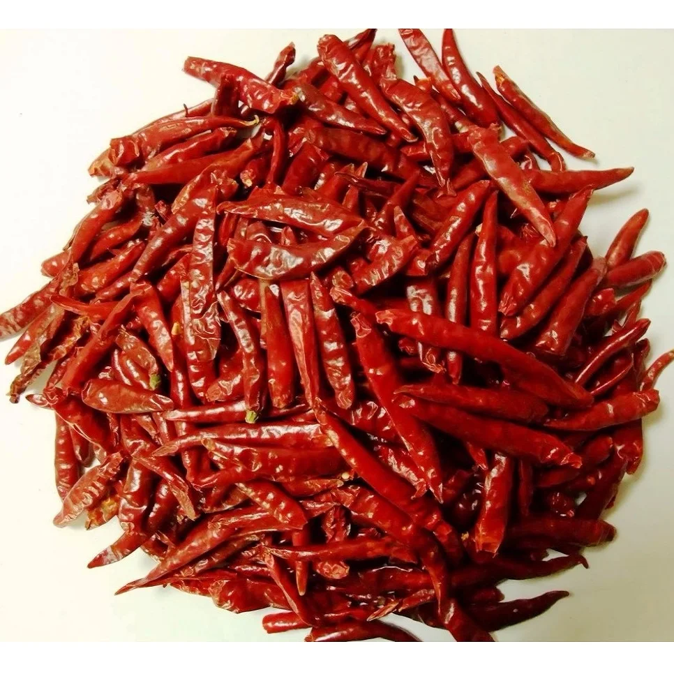 Single Spices Dried Red Chili Whole Hot Selling Food Grade Dry Red Hot Spice Chili Pepper At Competitive Price