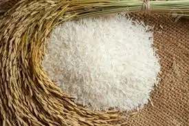 Rice Grain