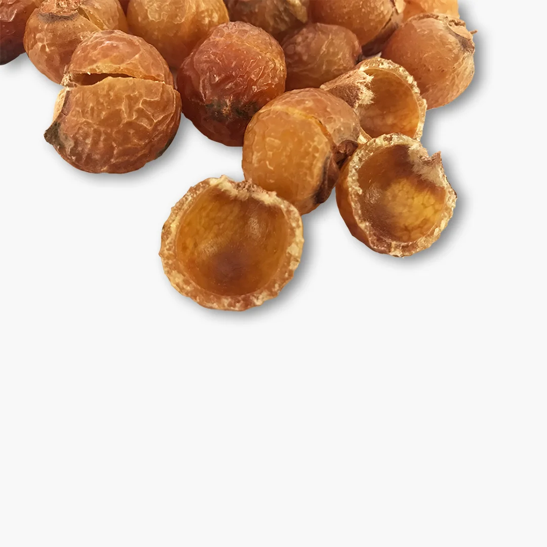 High quality Soap Nuts, Premium quality Soap Nuts