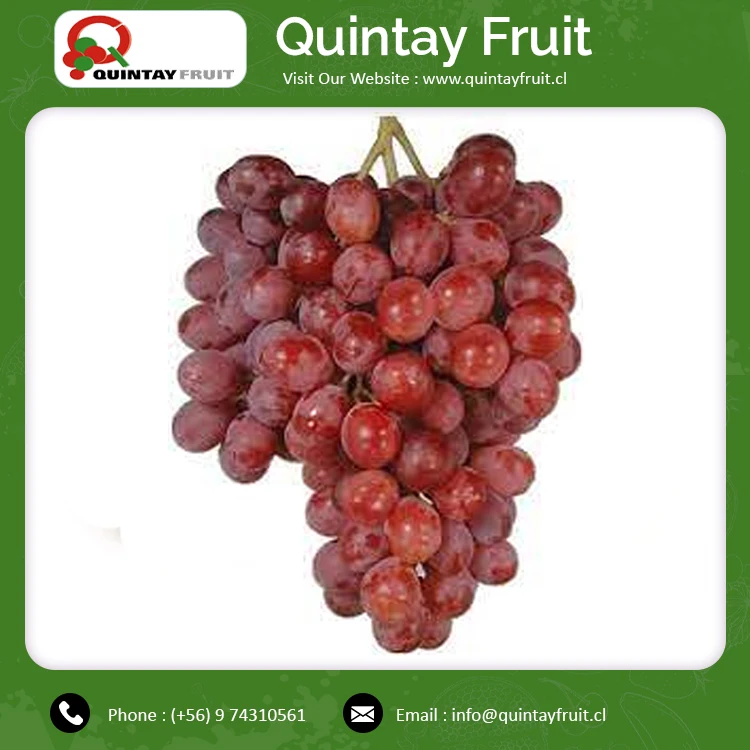 100% Fresh Fruit Hot Sell Fresh Sweet Red Grapes Red Globe Seeded Grapes
