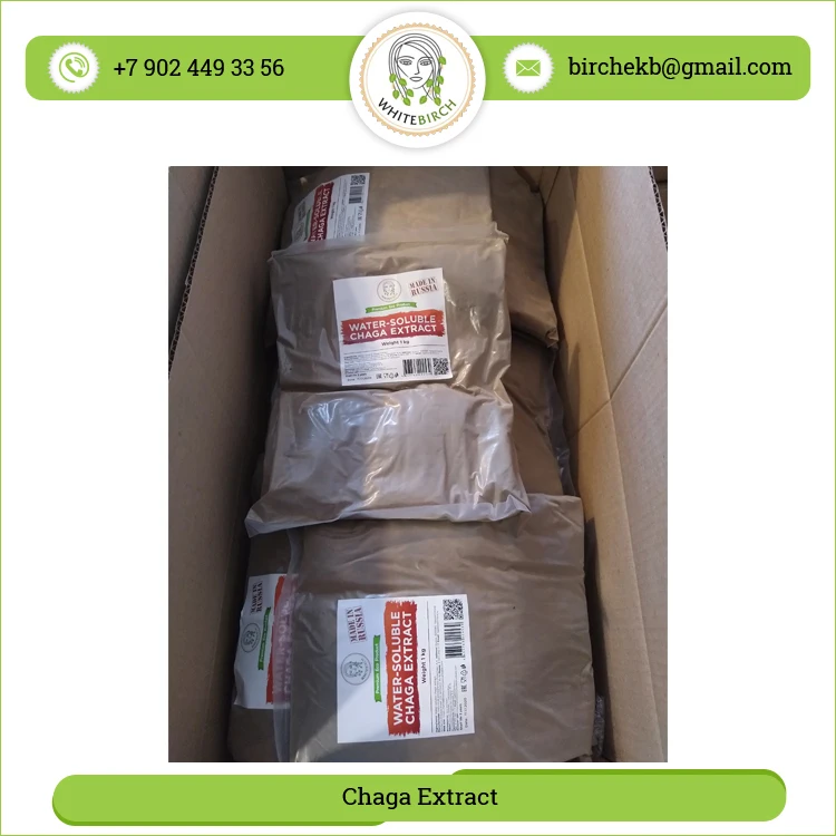 Direct Factory Sale High Quality Herbal Chaga Mushrooms Extract Powder at Low Market Price