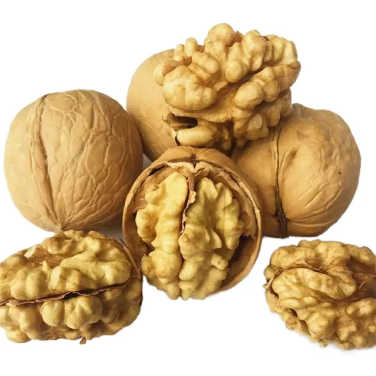 Walnut specialty nuts dried fruit delicious thin skin wallnut